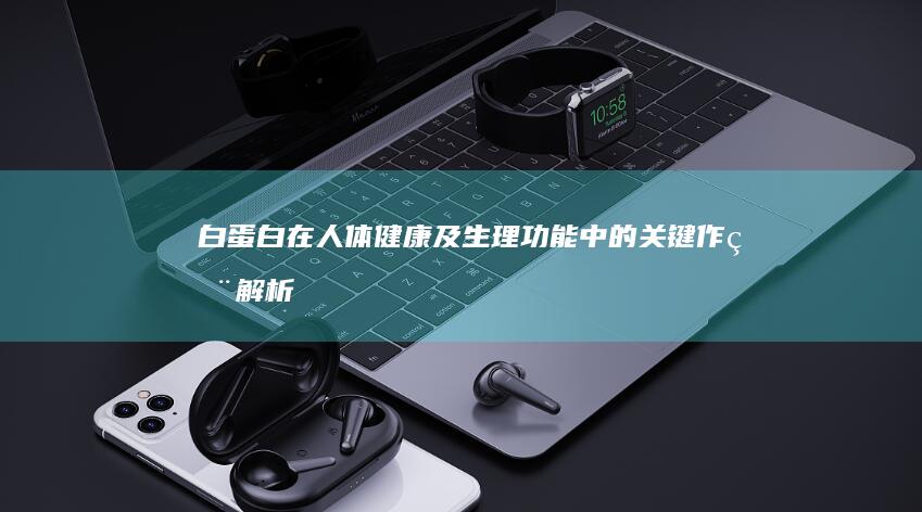 白蛋白在人体健康及生理功能中的关键作用解析